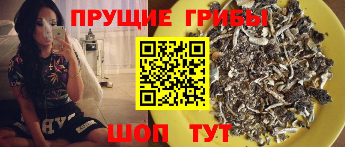Псилоцибиновые грибы Magic Shrooms Урюпинск