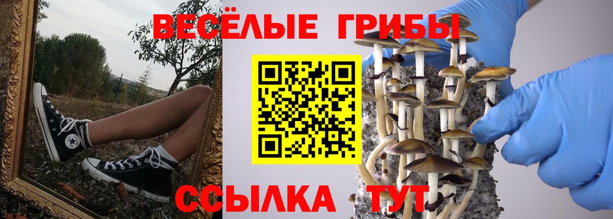 Псилоцибиновые грибы прущие грибы  купить наркоту  Вход с VPN  Урюпинск  Псилоцибиновые грибы мицелий 